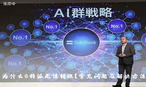 为什么B特派无法转账？常见问题及解决方法