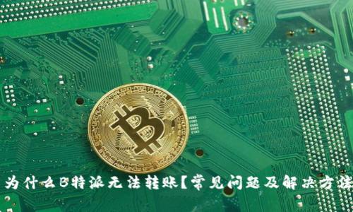 为什么B特派无法转账？常见问题及解决方法