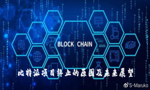 比特派项目终止的原因及未来展望