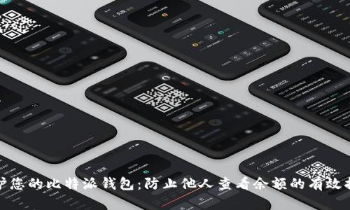 保护您的比特派钱包：防止他人查看余额的有效措施