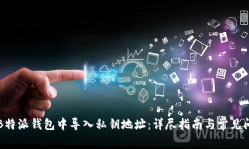 如何在B特派钱包中导入私钥地址：详尽指南与常见问题解析